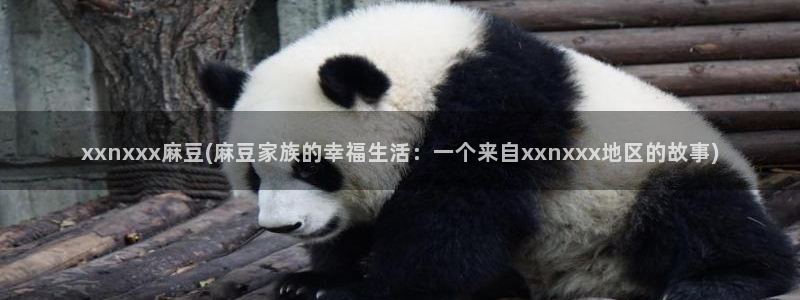 久久社区麻豆：xxnxxx麻豆(麻豆家族的幸福生活：一个来自xxnxxx地区的故