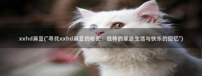 麻豆软件：xxhd麻豆(\