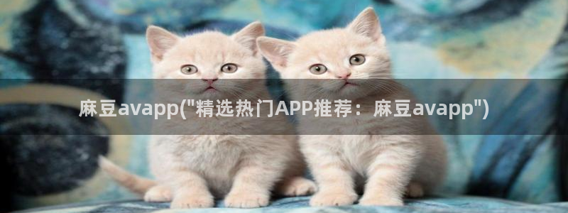 麻豆国产专区：麻豆avapp(\