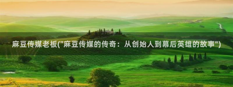 麻豆专区一：麻豆传媒老板(\