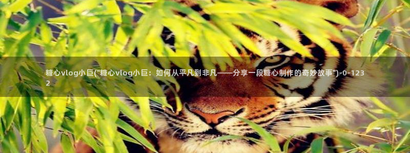 糖心vlog合法吗?：糖心vlog小巨(\