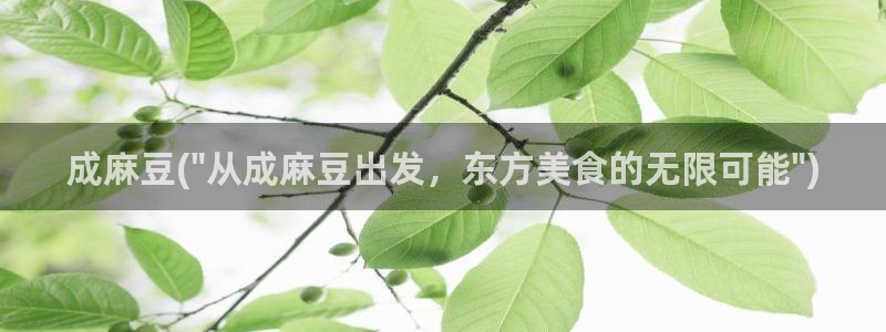 久久社区麻豆：成麻豆(\