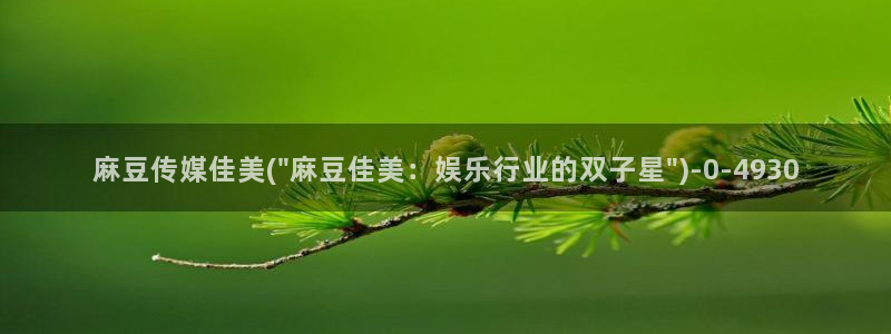 麻豆高清：麻豆传媒佳美(\