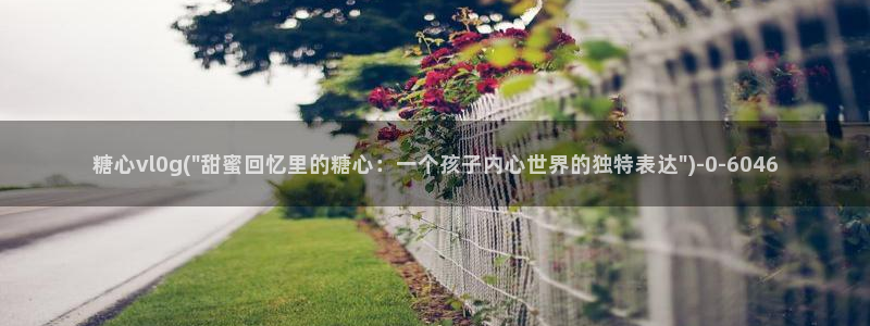 糖心vlog破解版网址