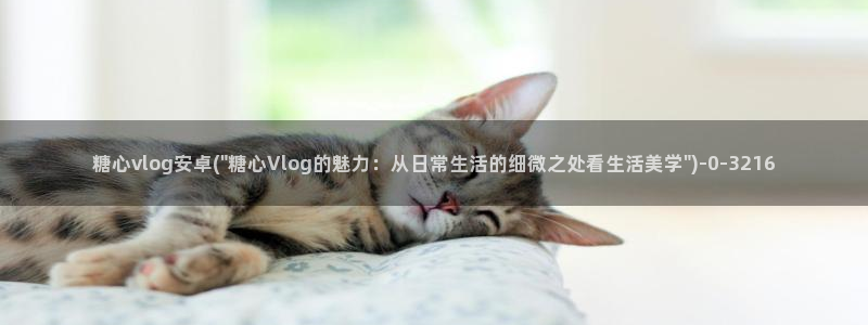 糖心vlog官网入口ios