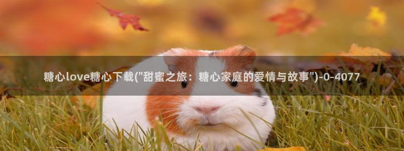 成人糖心vlog