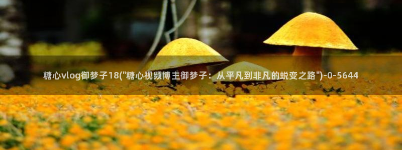 糖心vlog在线观看
