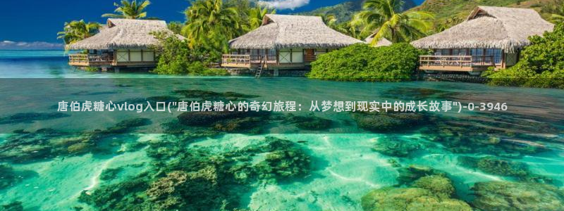糖心vlog在线播放