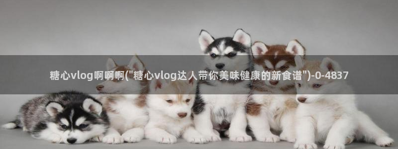 糖vlog免费
