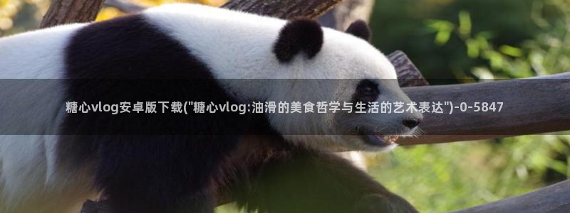 糖心vlog千夜喵喵：糖心vlog安卓版下载(\