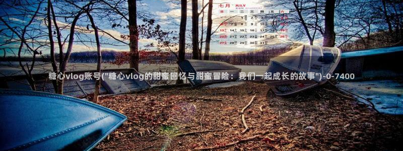 糖心vlog免费下